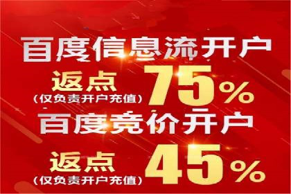 行业领先企业的信息流竞价策略揭秘